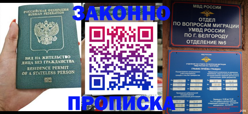 прописка для кредита в Курской области
